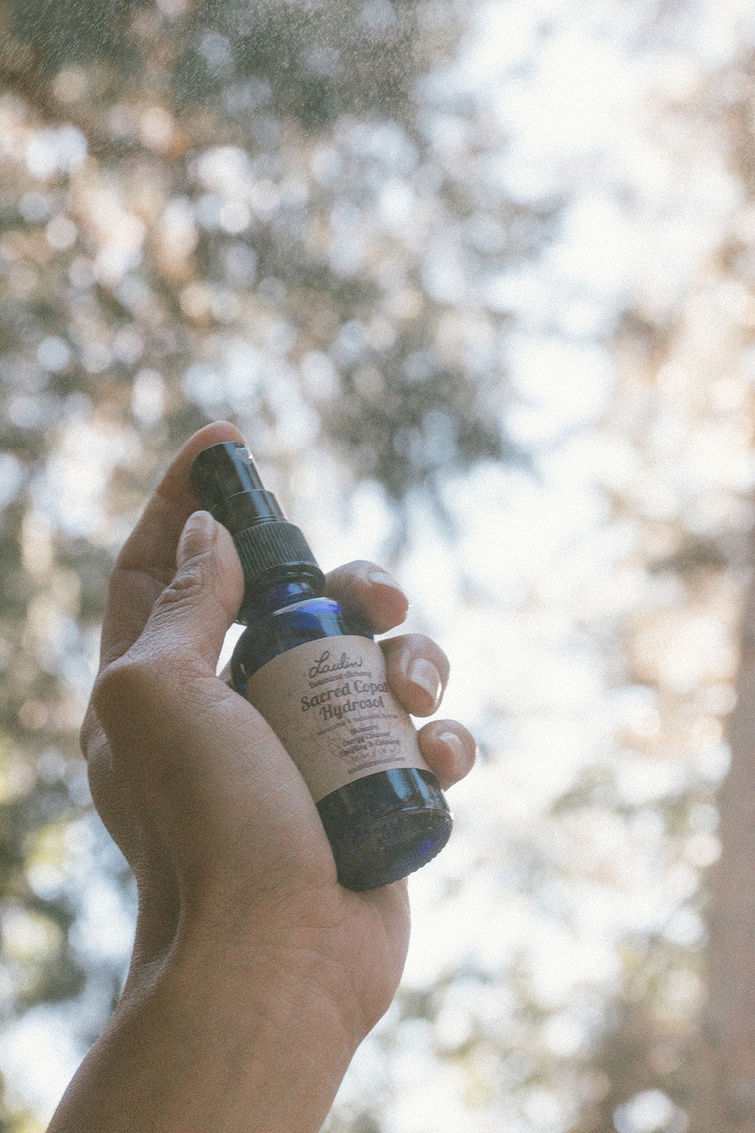 Sacred Copal Hydrosol Spray – Handmade Energy Cleansing Mist